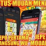 ACC4D: SITUS MUDAH MENANG DEPO PERTAMA JEPE PAUS – JAMINAN JACKPOT PAUS SEJAK DEPOSIT PERTAMA!
